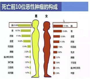 2017中国肿瘤发病率对照图.png